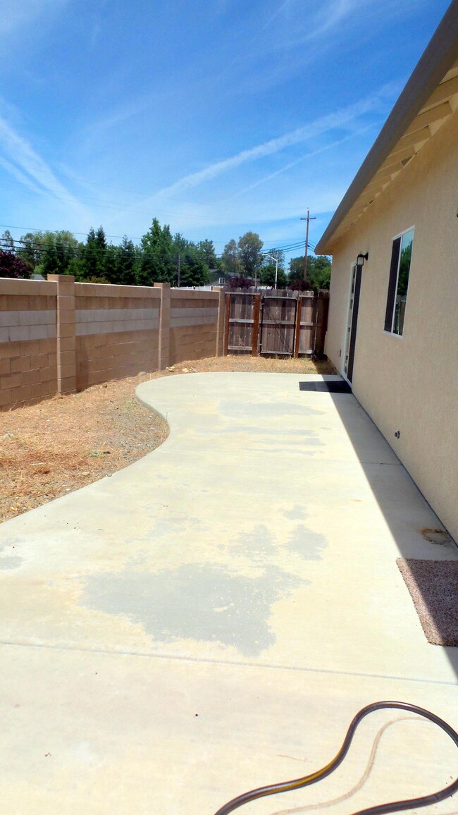 backyard 2