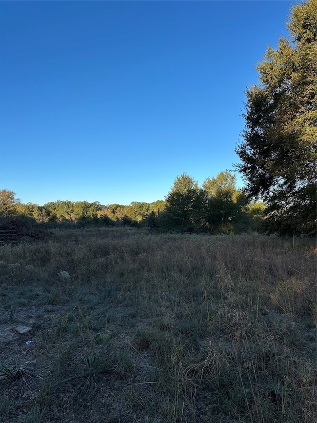 111 Private Rd 937, Teague, TX 75860 - photo 4