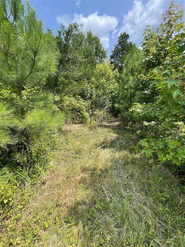 0 Major Lee Rd unit 2399656, Center, NC 27312 - photo 7