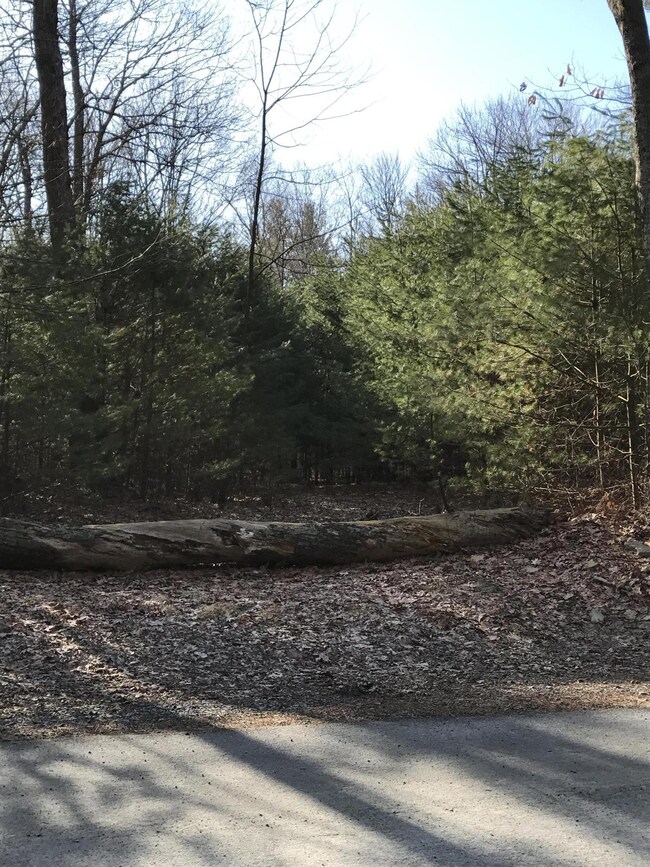 0 Frenchtown Rd, Milford, PA 18337 - photo 4