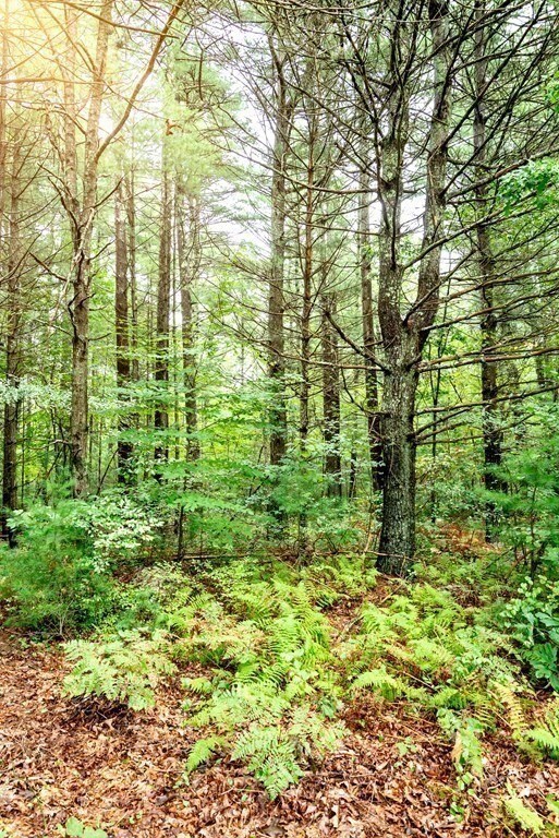 135 Plain St, Rehoboth, MA 02769 - photo 5