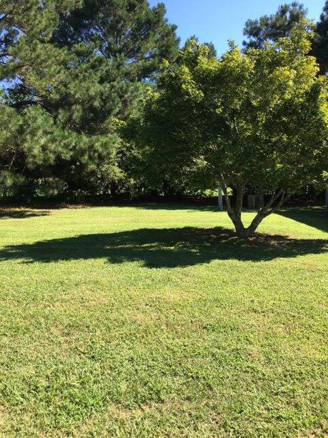 Back yard
