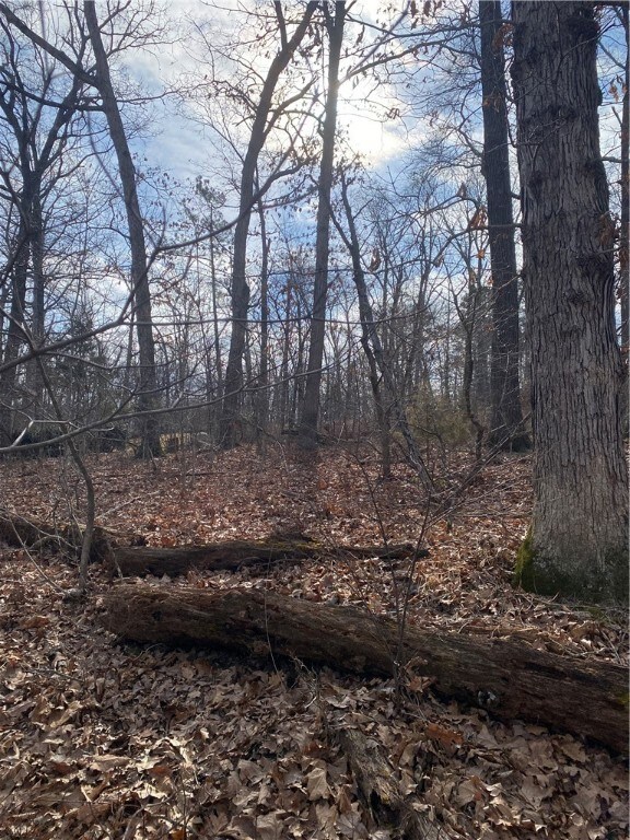 1 Leicester Dr, Bella Vista, AR 72714 - photo 3