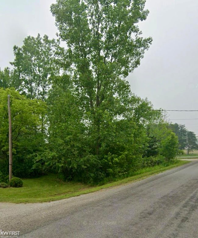 0 E Stanley Rd unit 50134069, Mount Morris, MI 48458 - photo 2