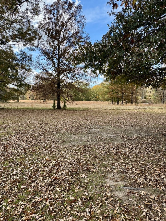 TBD Pleasant Hill Rd, Haworth, OK 74740 - photo 2