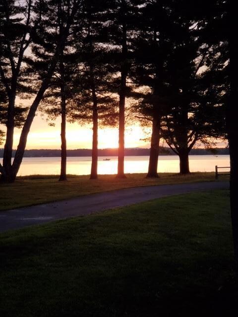 Yard Lake View