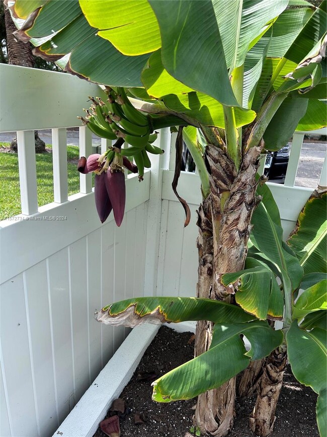 4291 Island Cir unit A, Fort Myers, FL 33919 - photo 6