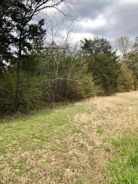 lots of road frontage.