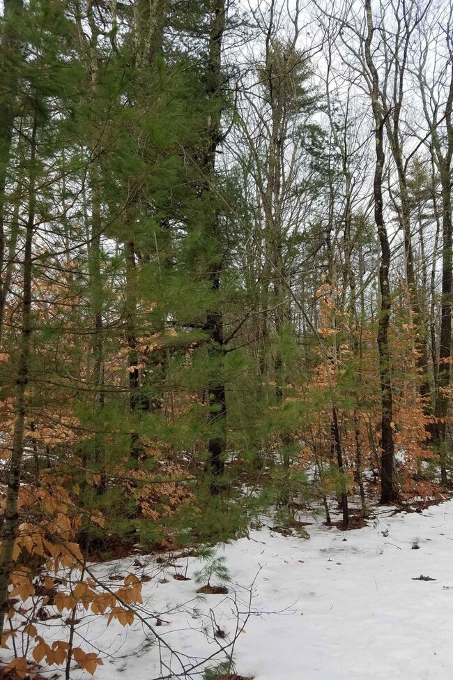 Wooded Parcel