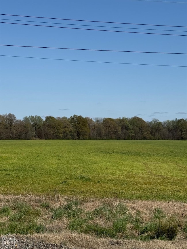 10506 U S 49, Brookland, AR 72417 - photo 2