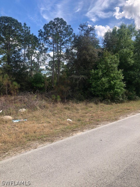 2110 Robert Ave, Alva, FL 33920 - photo 7