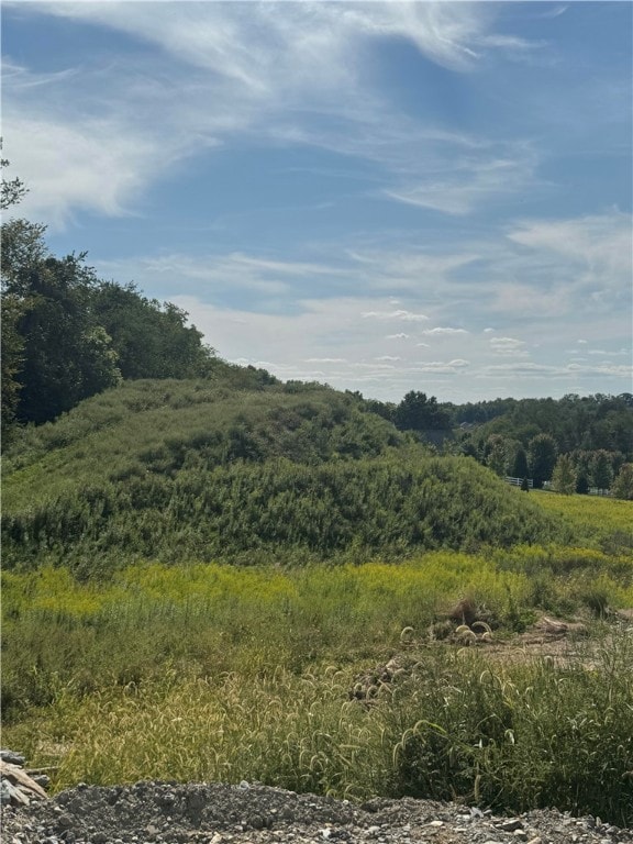 Lot 213 Hunters Crossing, Peters Township, PA 15317 - photo 2