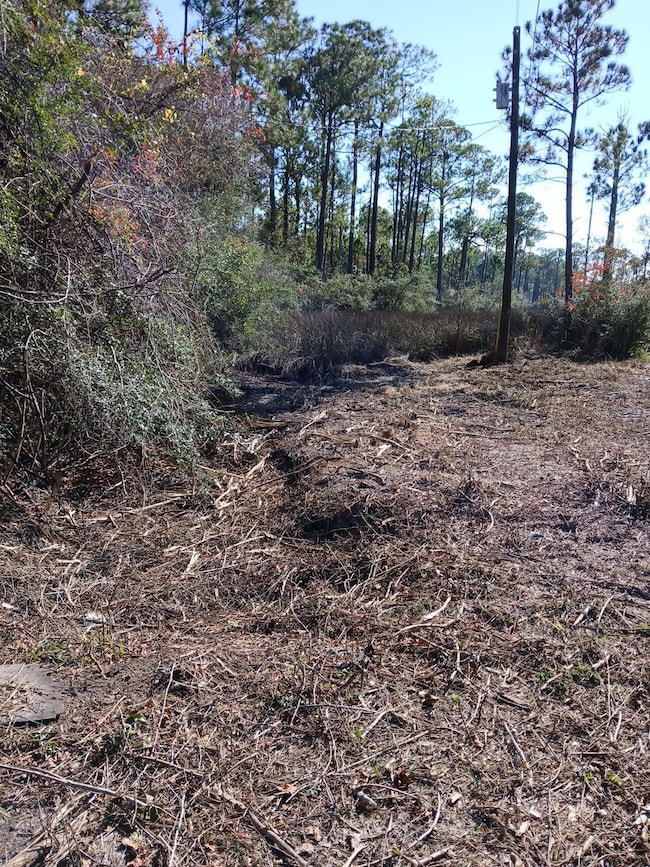 15 Santa Pine St, Santa Rosa Beach, FL 32459 - photo 4