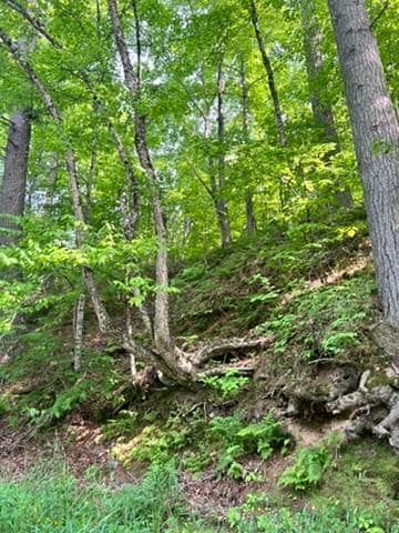 28xxx 89th Ave, Boyd, WI 54726 - photo 3