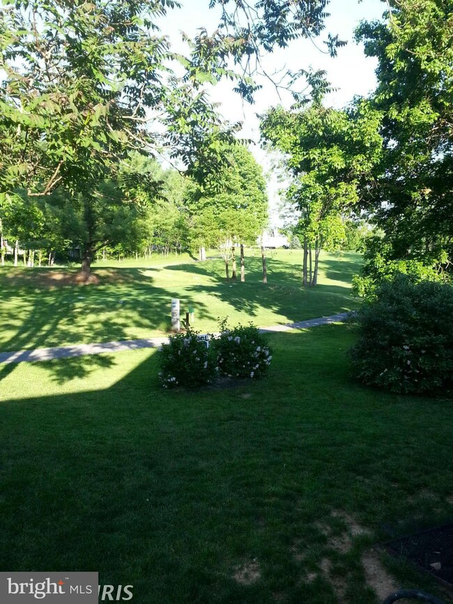 49 S Tamarac Dr, Shepherdstown, WV 25443 - photo 3