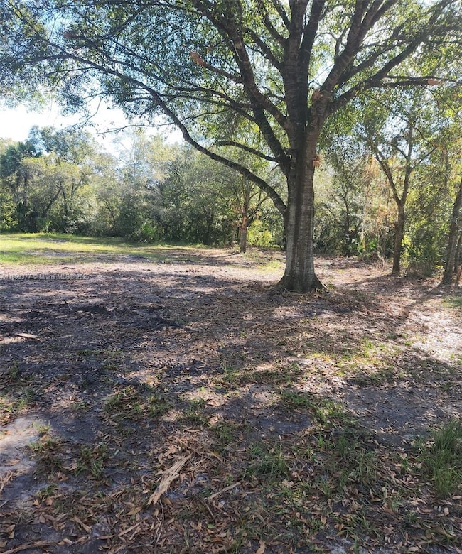 13012 NE 14th Ave, Okeechobee, FL 34972 - photo 5