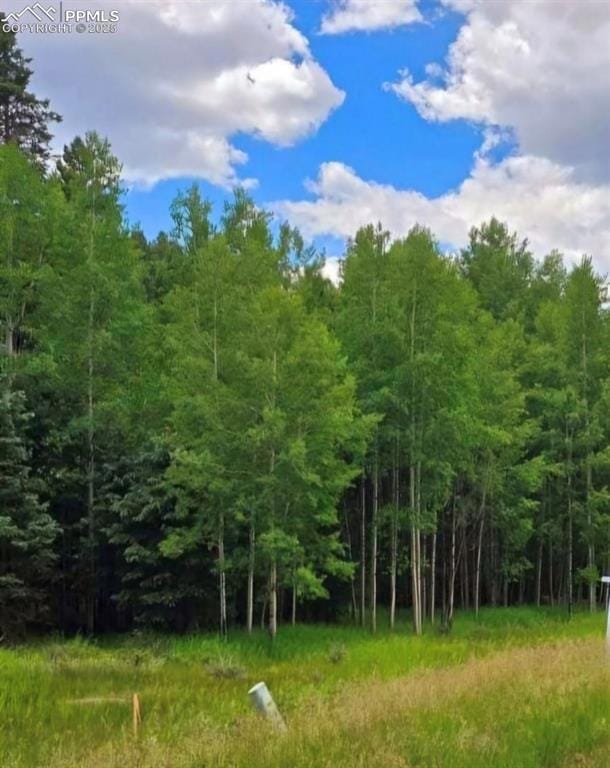 662 Spring Valley Ln, Florissant, CO 80816 - photo 6