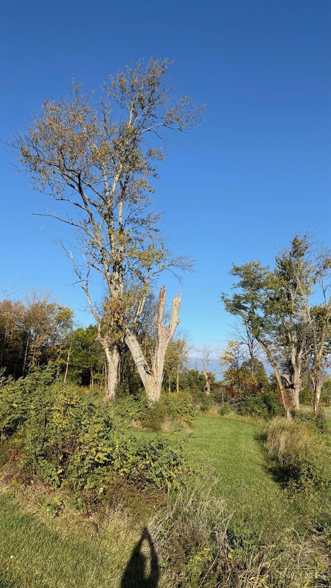 13925 US Highway 22 and 3, Sabina, OH 45169 - photo 6