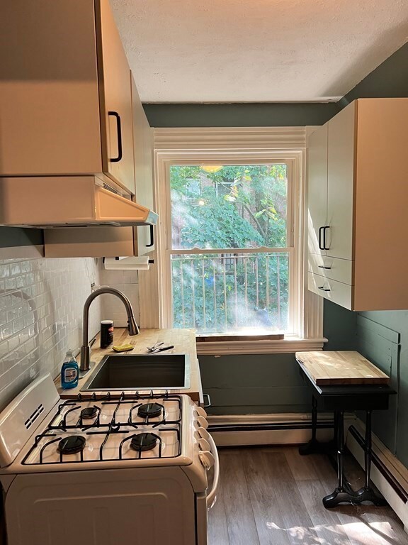 47 University Rd unit 3, Brookline, MA 02445 - photo 4