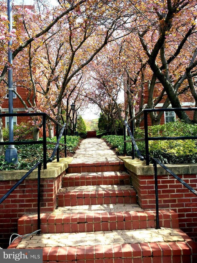 22 S Old Glebe Rd unit 1D, Arlington, VA 22204 - photo 5