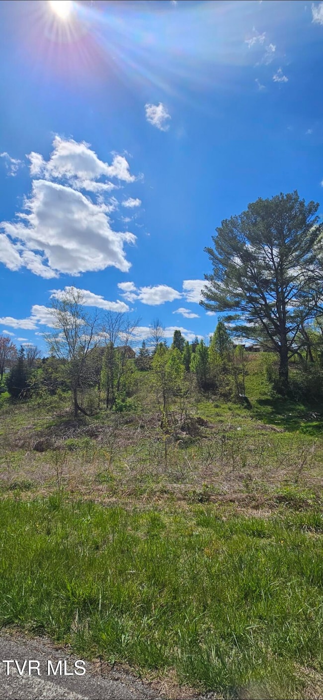 Tbd Honeysuckle Ln, Chuckey, TN 37641 - photo 3