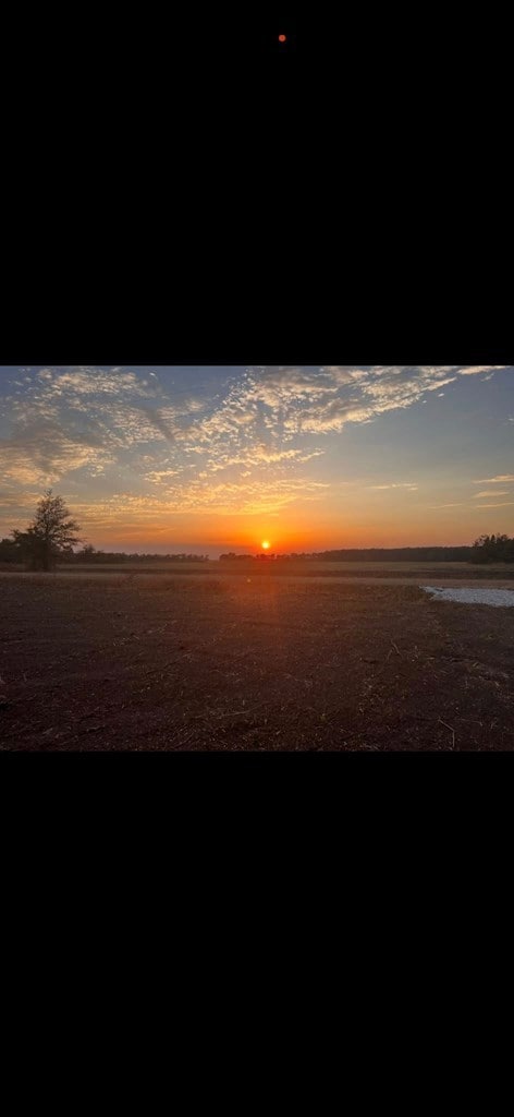 000 Crawfordsville Rd, Proctor, AR 72376 - photo 6