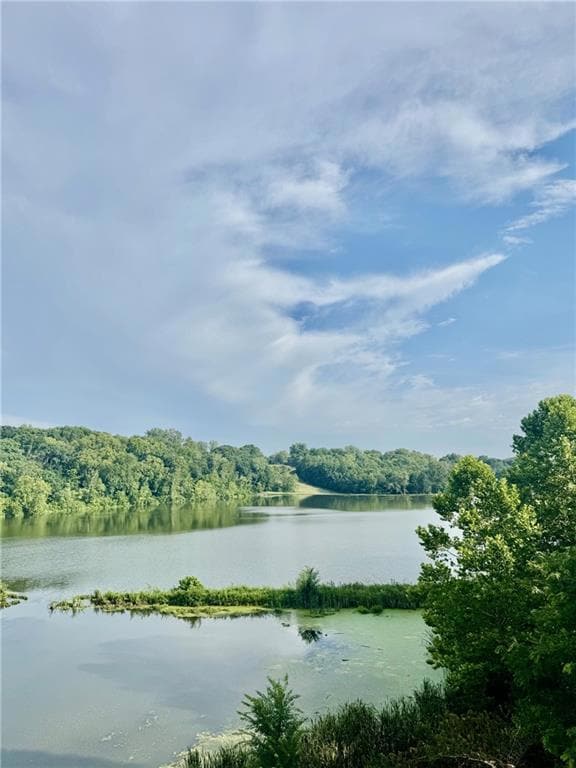 7017 Waters Edge Dr, Parkville, MO 64152 - photo 2