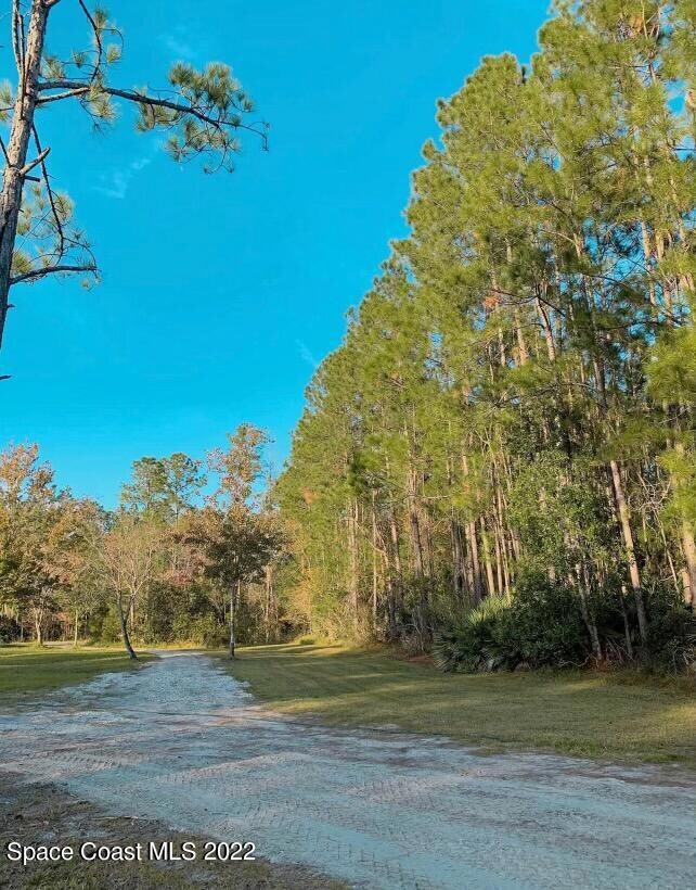 4658 Fir Rd, New Smyrna Beach, FL 32168 - photo 4