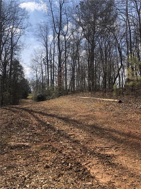 View of drive to the side and back of property