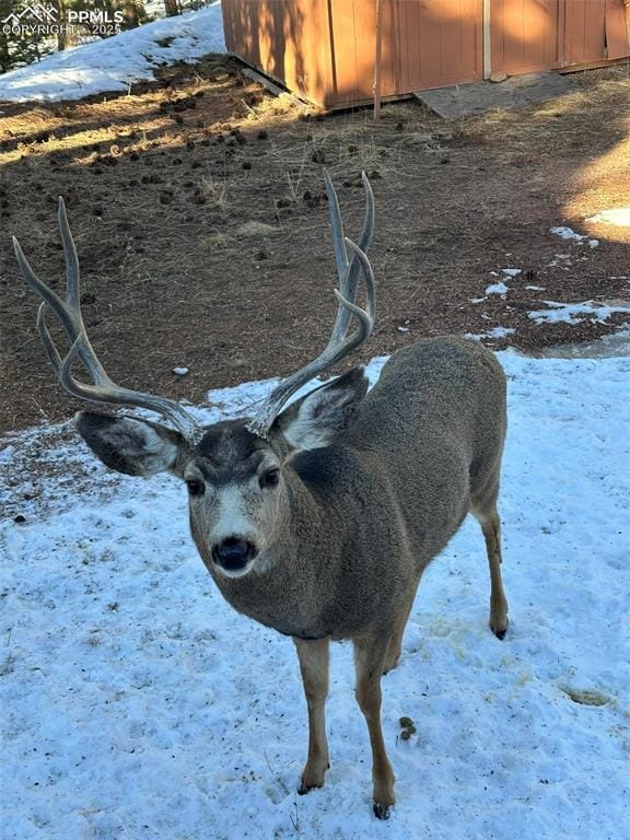 234 Wasatch Ln, Florissant, CO 80816 - photo 7