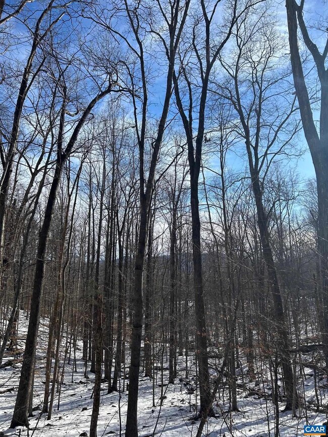 0 Stone Chimneys Rd unit 1 661050, Nellysford, VA 22958 - photo 2