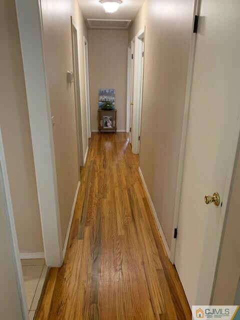 1415 Greenwood Dr, Piscataway, NJ 08854 - photo 4