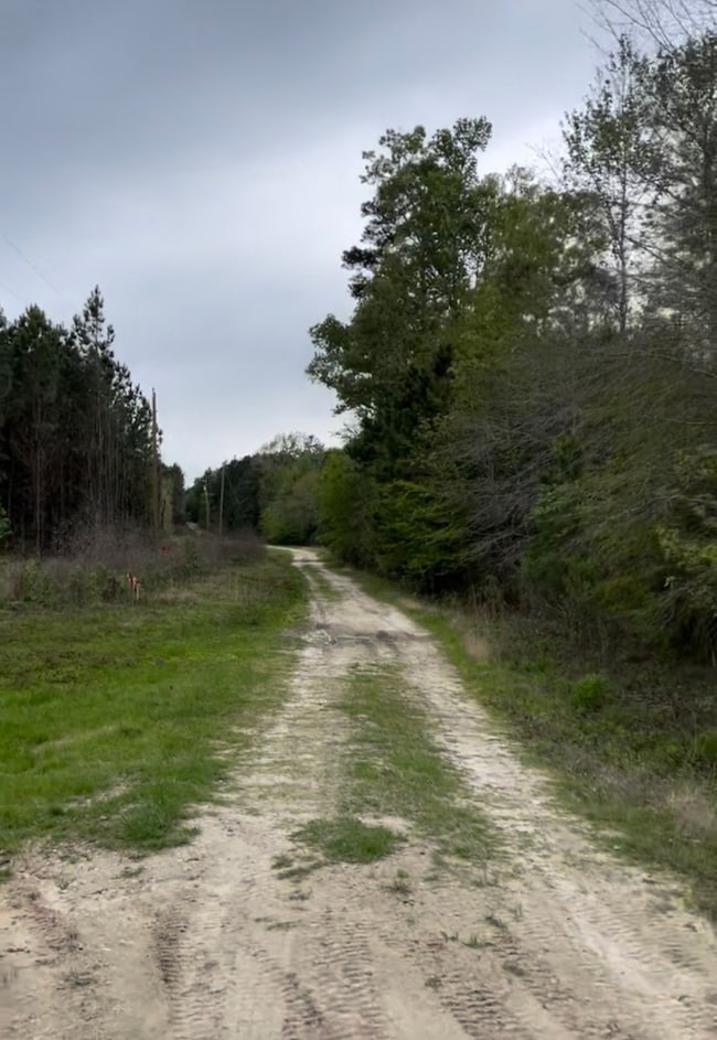 3920 Farm To Market Road 1987, Corrigan, TX 75939 - photo 3