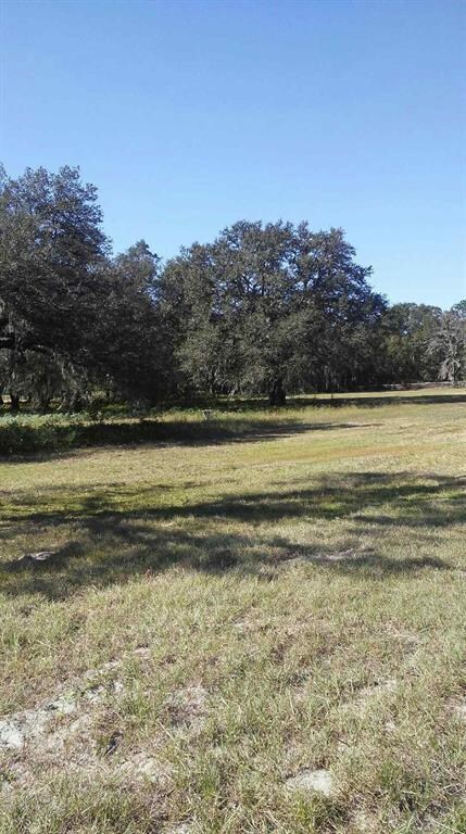 20991 SE 80th St, Morriston, FL 32668 - photo 5