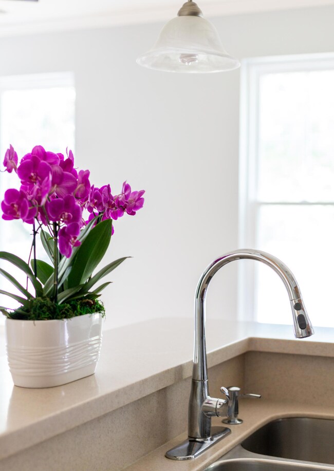 Coastalrephotoditownhome-2
