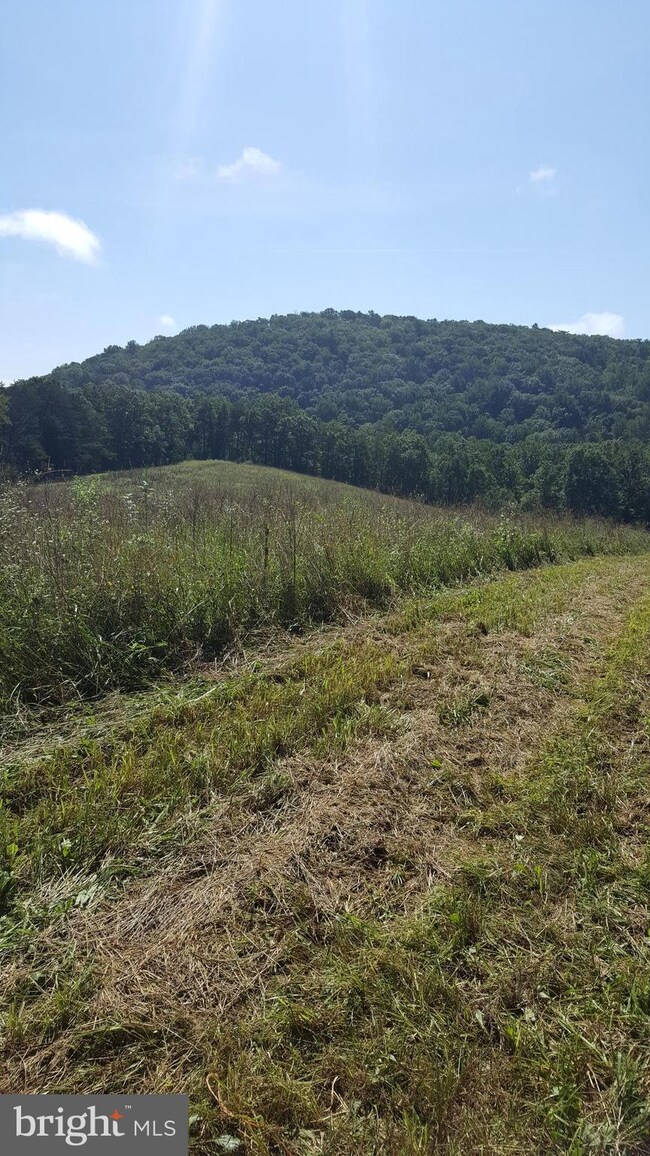 0 Dellinger Gap Rd unit 1002764866, Edinburg, VA 22824 - photo 4