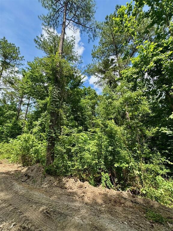 125 Pawpaw Trail, Broken Bow, OK 74728 - photo 6