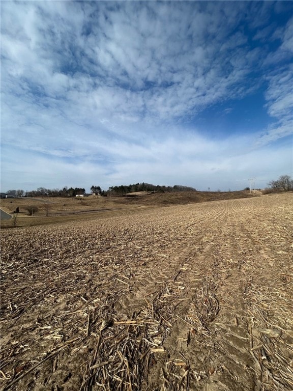 0 Ruf Rd, Black River Falls, WI 54615 - photo 7