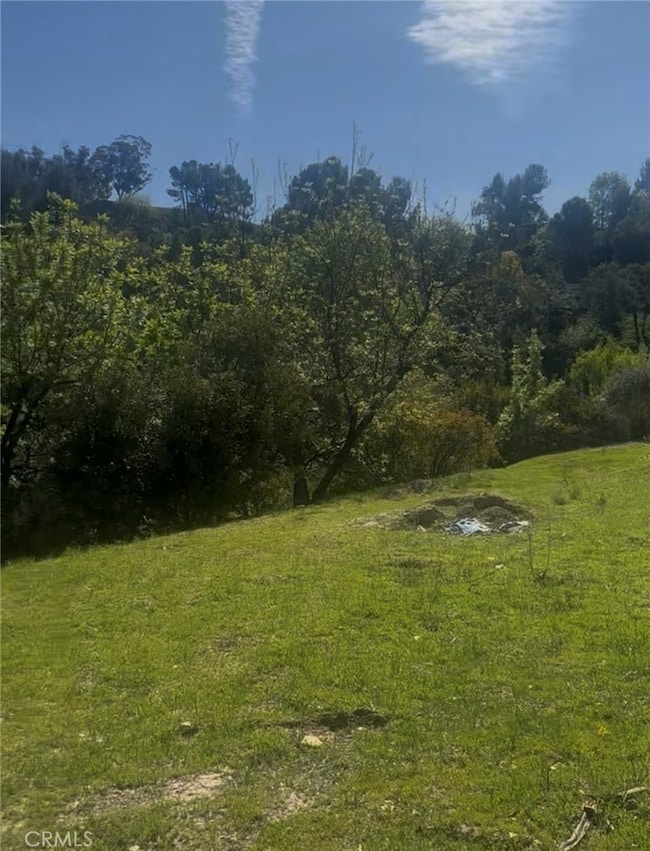 4551 Lindley Ave, Tarzana, CA 91356 - photo 3