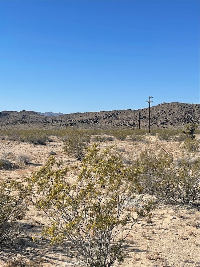 65282 Sonora Rd, Joshua Tree, CA 92252 - photo 6