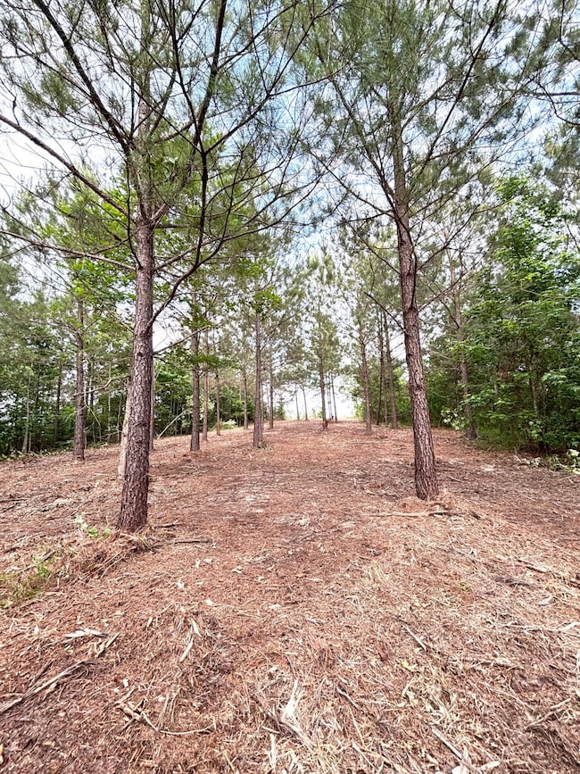 unlisted-address unit Attala County MS, Kosciusko, MS 39090 - photo 4