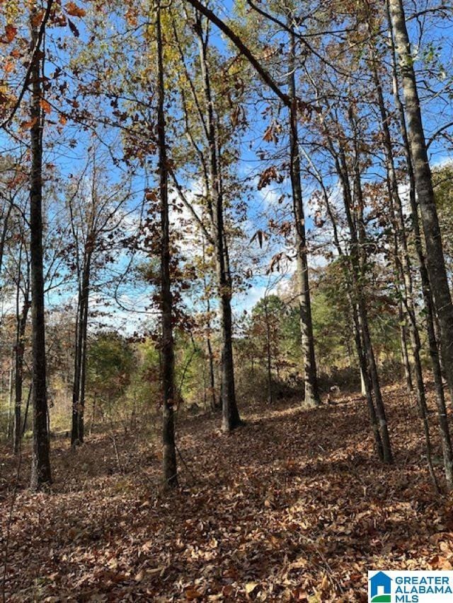 113 Crest Dr, Chelsea, AL 35043 - photo 7