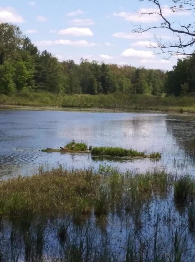 V/L N Beaver Trail, Lilley Township, MI 49309 - photo 7