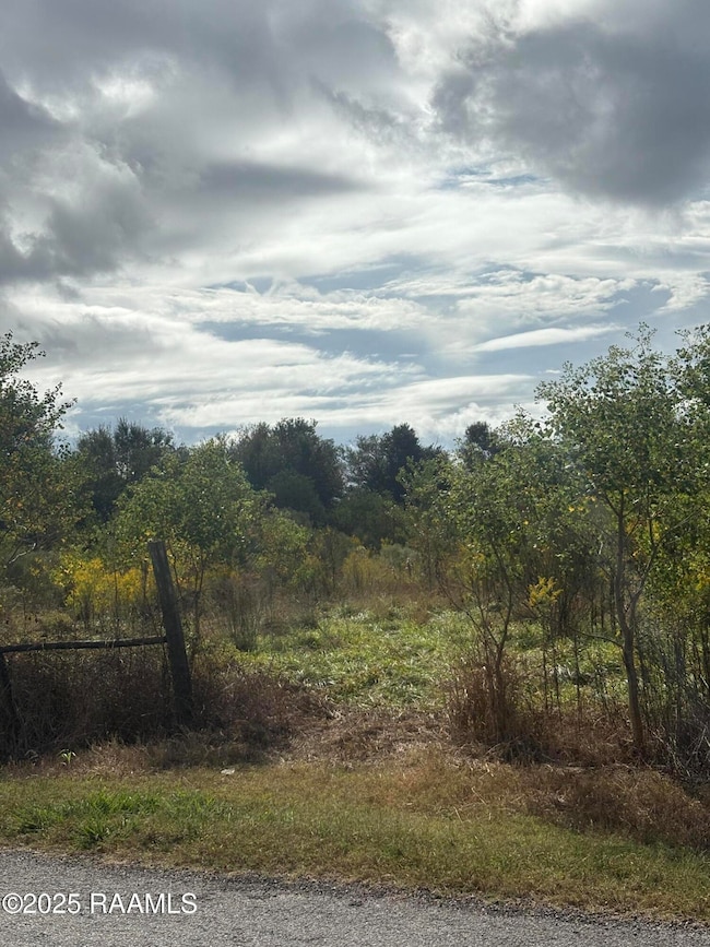Tbd Trailwood Rd, Kaplan, LA 70548 - photo 4