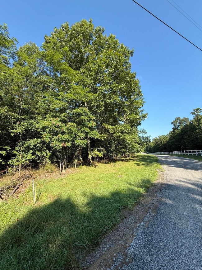 0 Bluff View Dr unit RTC2973731, Dunlap, TN 37327 - photo 4