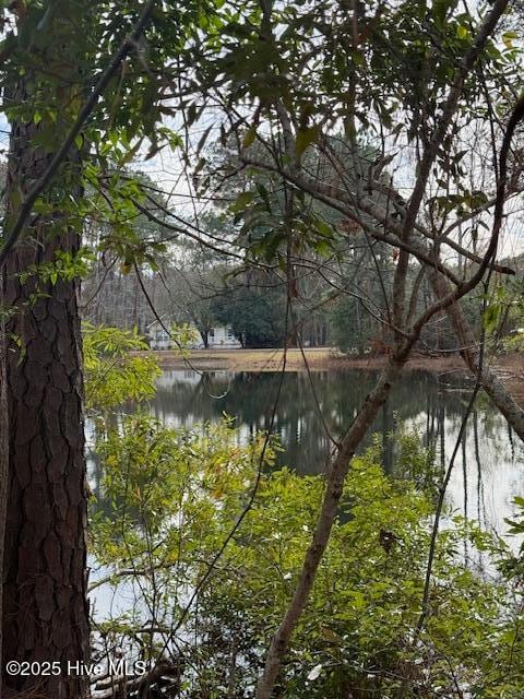 8 North Dr, Rocky Point, NC 28457 - photo 5