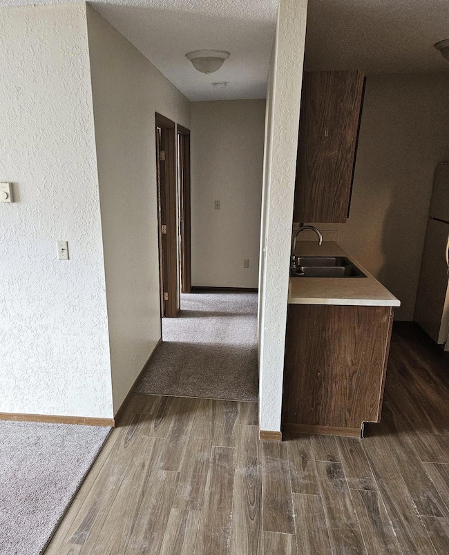 511 Carolina Ave unit 4, Hoffman, MN 56339 - photo 3