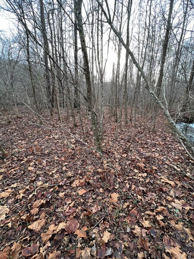 Lots 9 10 11 15 & 17 Mary Ln, Hayesville, NC 28904 - photo 4