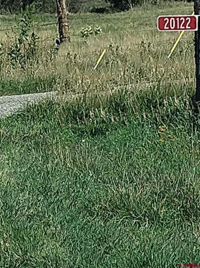 20122 2375 Rd, Cedaredge, CO 81413 - photo 7