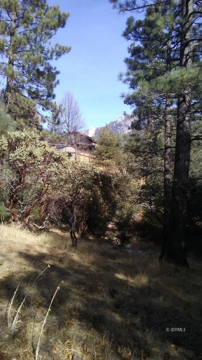 another view